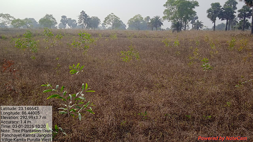 Impact Project Image